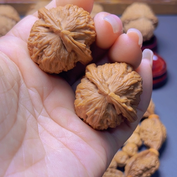 核桃转用链接，白狮子32