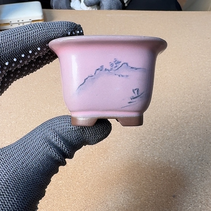 花盆感谢支持大吉大利