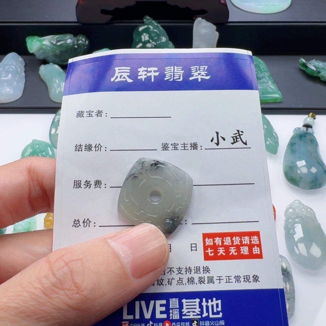 翡翠未镶嵌颈饰      9