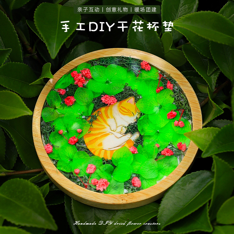 手工diy干花杯垫压花干花材料永生花自制亲子礼物六一节