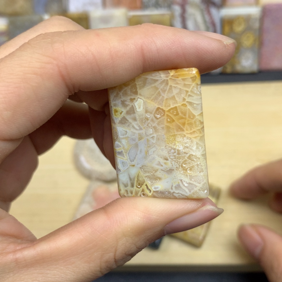 卡***尼硅化珊瑚（珊瑚玉）未镶嵌珠宝奇石