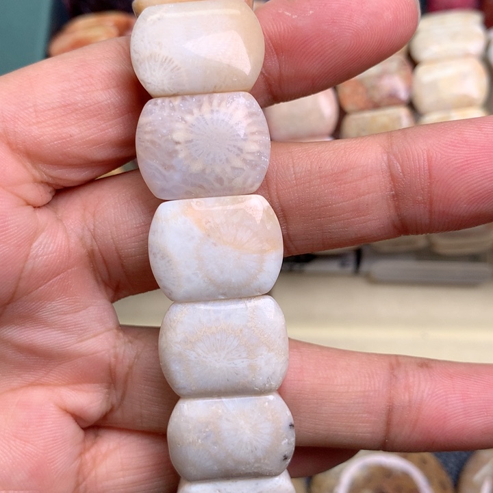 硅化珊瑚（珊瑚玉）未镶嵌颈饰