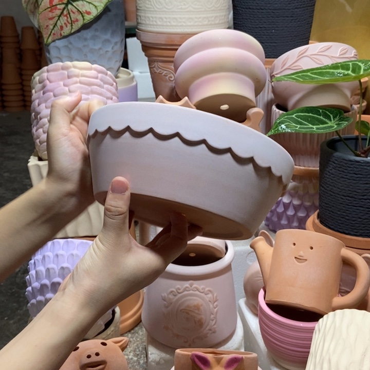 20×7雾化花边盆 1个