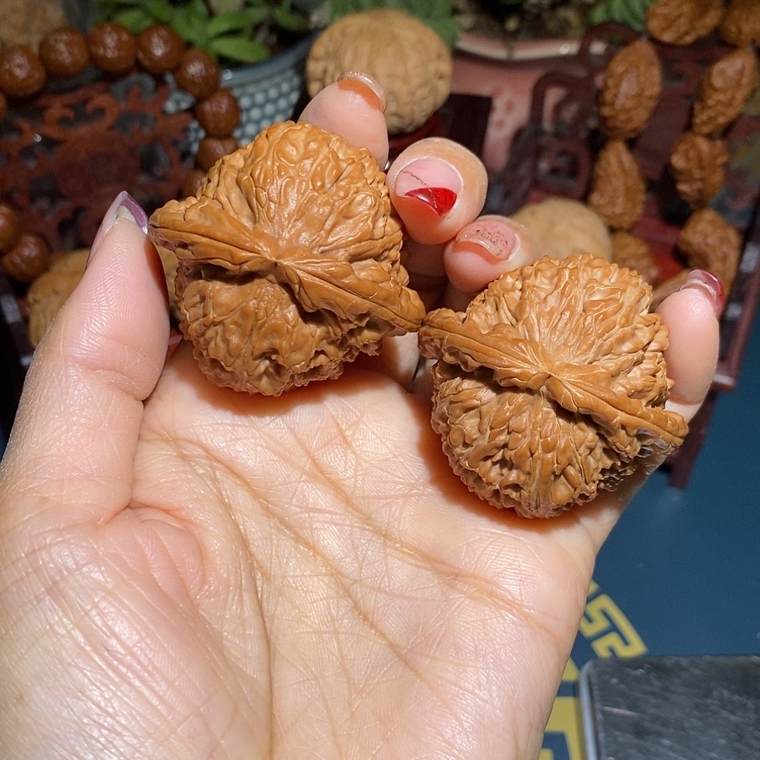 文玩核桃把件白狮子45.5