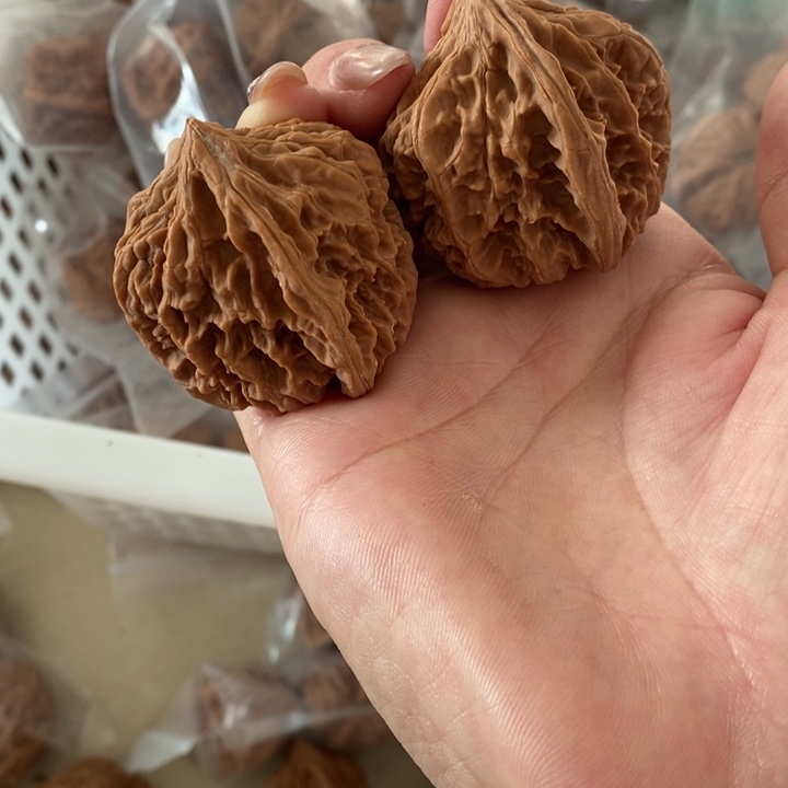 高**兴核桃核桃核桃核桃核桃