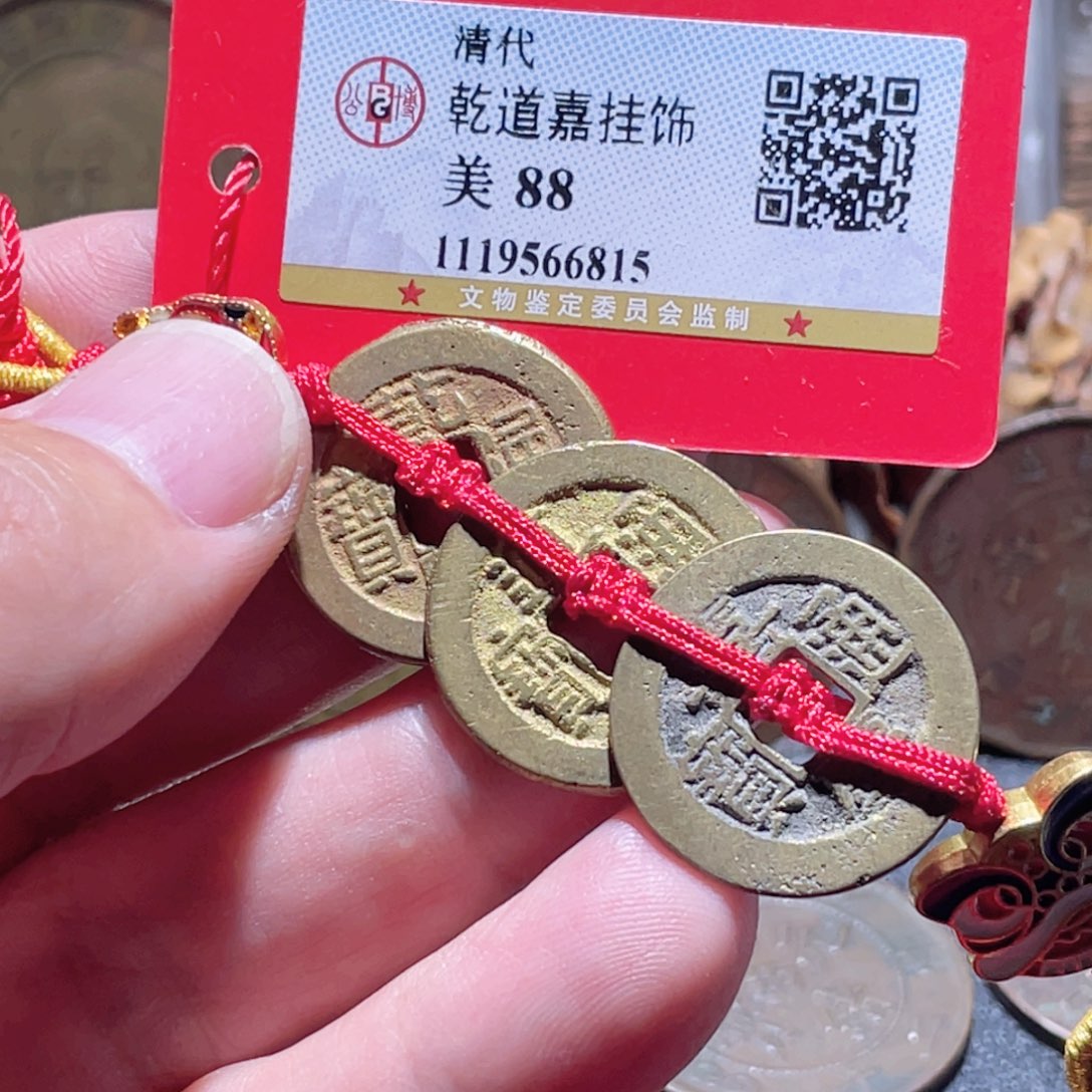 铜通古博今251113范范6815