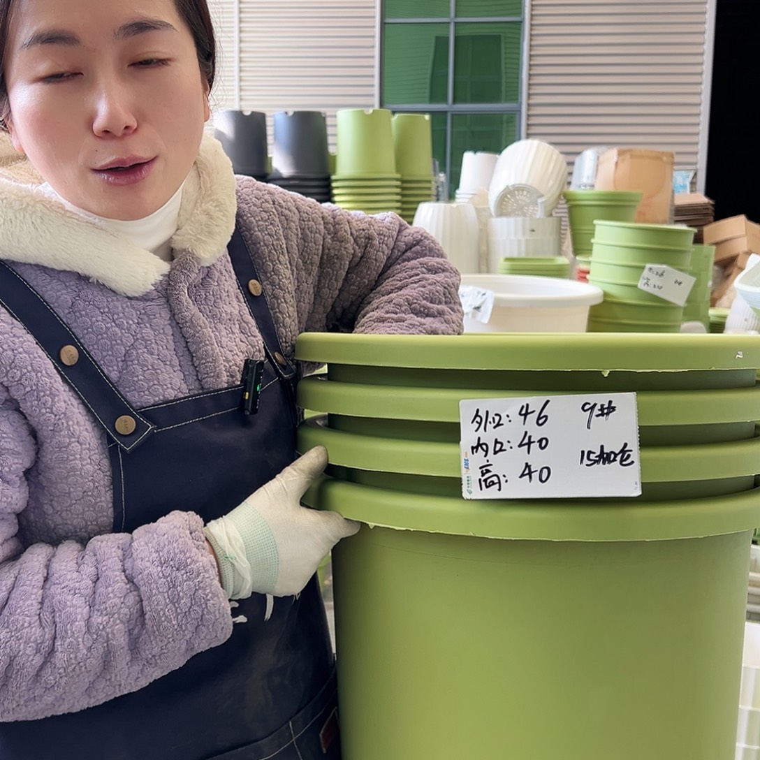 四季盆9#果绿4个无托