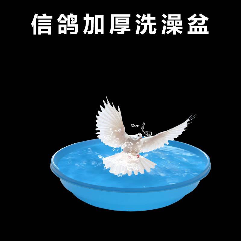 鸟类通用赛鸽信鸽大号澡盆鸽子洗澡盆浴盆鸽子用品用具鸽具澡盆