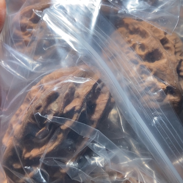 把件文玩核桃东北楸子小雪69