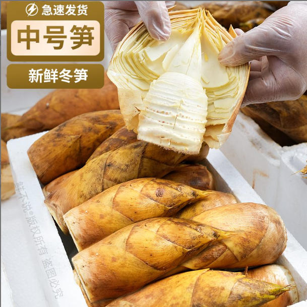 精品中号冬笋【顺丰到家】浙江杭州发货