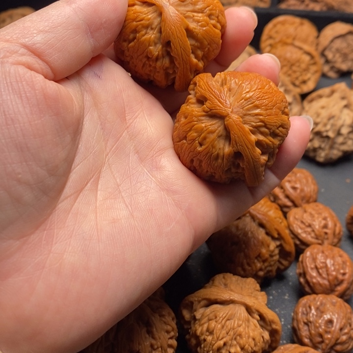 秦岭野生111111111