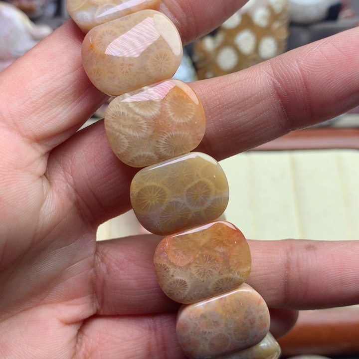 硅化珊瑚（珊瑚玉）颈饰未镶嵌