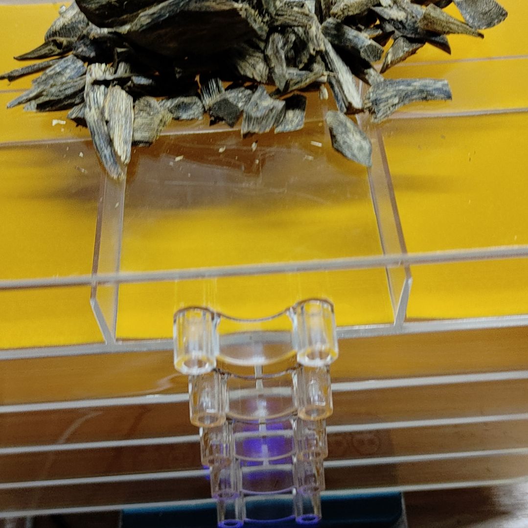 病***轻沉香碎屑沉香沉香树丁