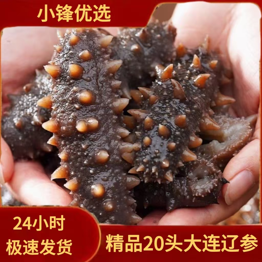精选20头大连海参两斤
