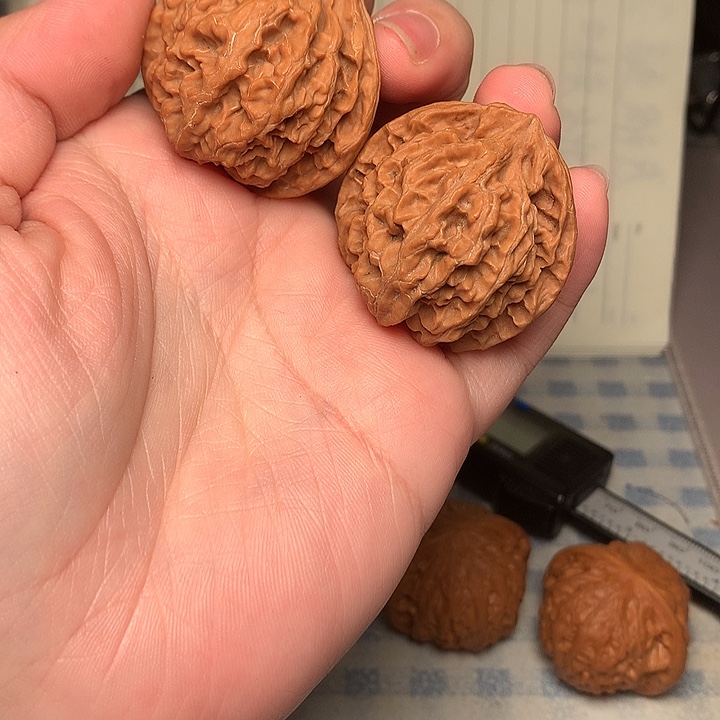 37尺寸全品苹果园文玩核桃