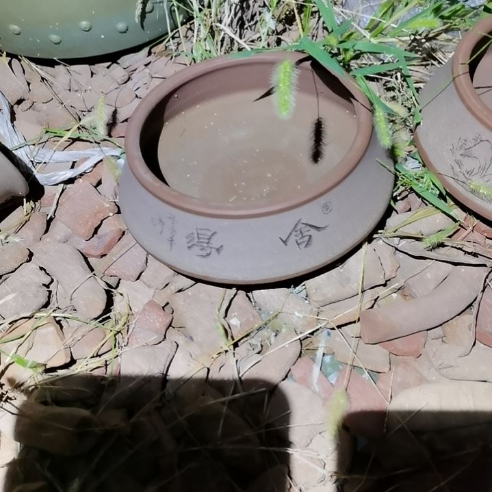 紫砂花盆紫砂花盆放漏大促销