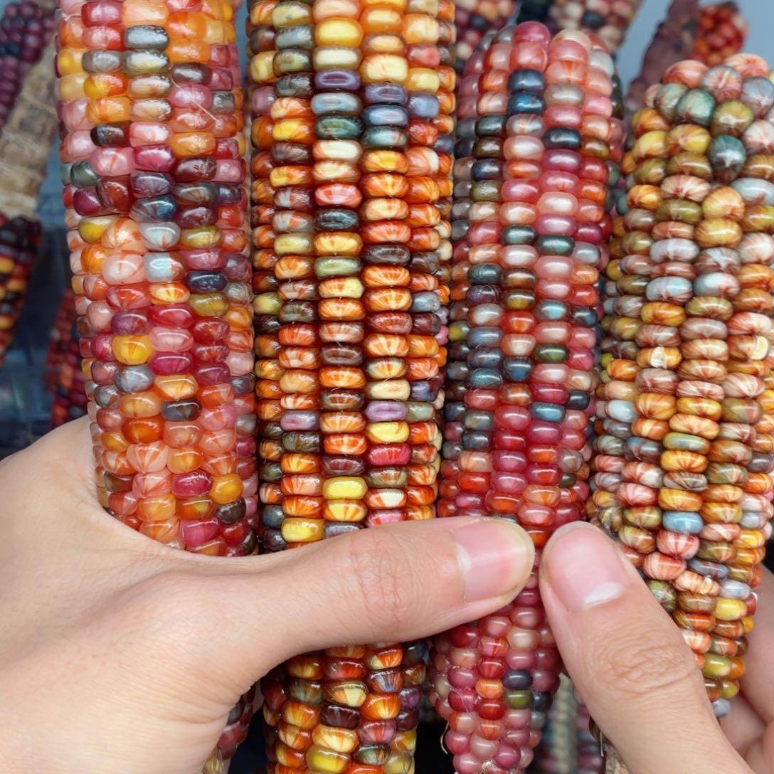 用***8白玉菩提吊坠文玩精品文玩精品