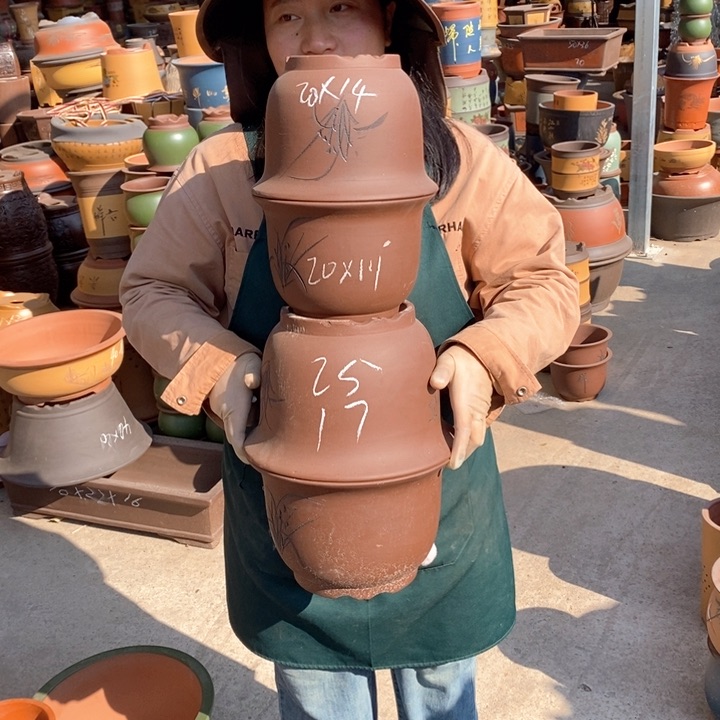 紫砂花盆盆栽花卉苗木种植