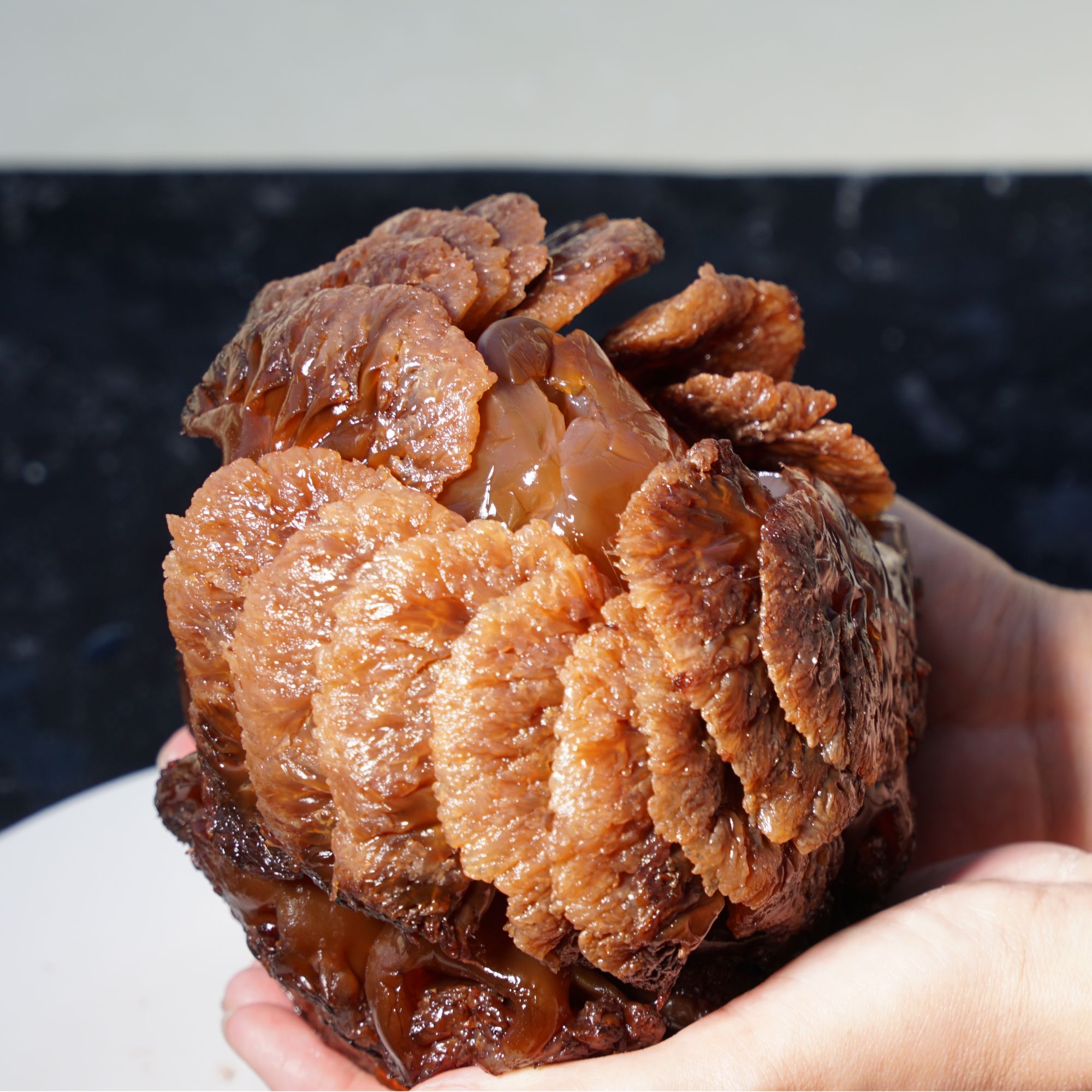 【海赢】野生绵蛰海蜇头 净重六斤 破损小海蜇头 硬脆爽口 顺丰包邮