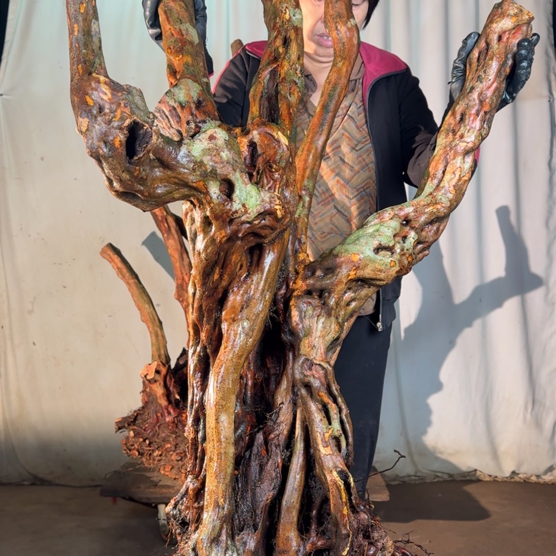 用***888888888888888888