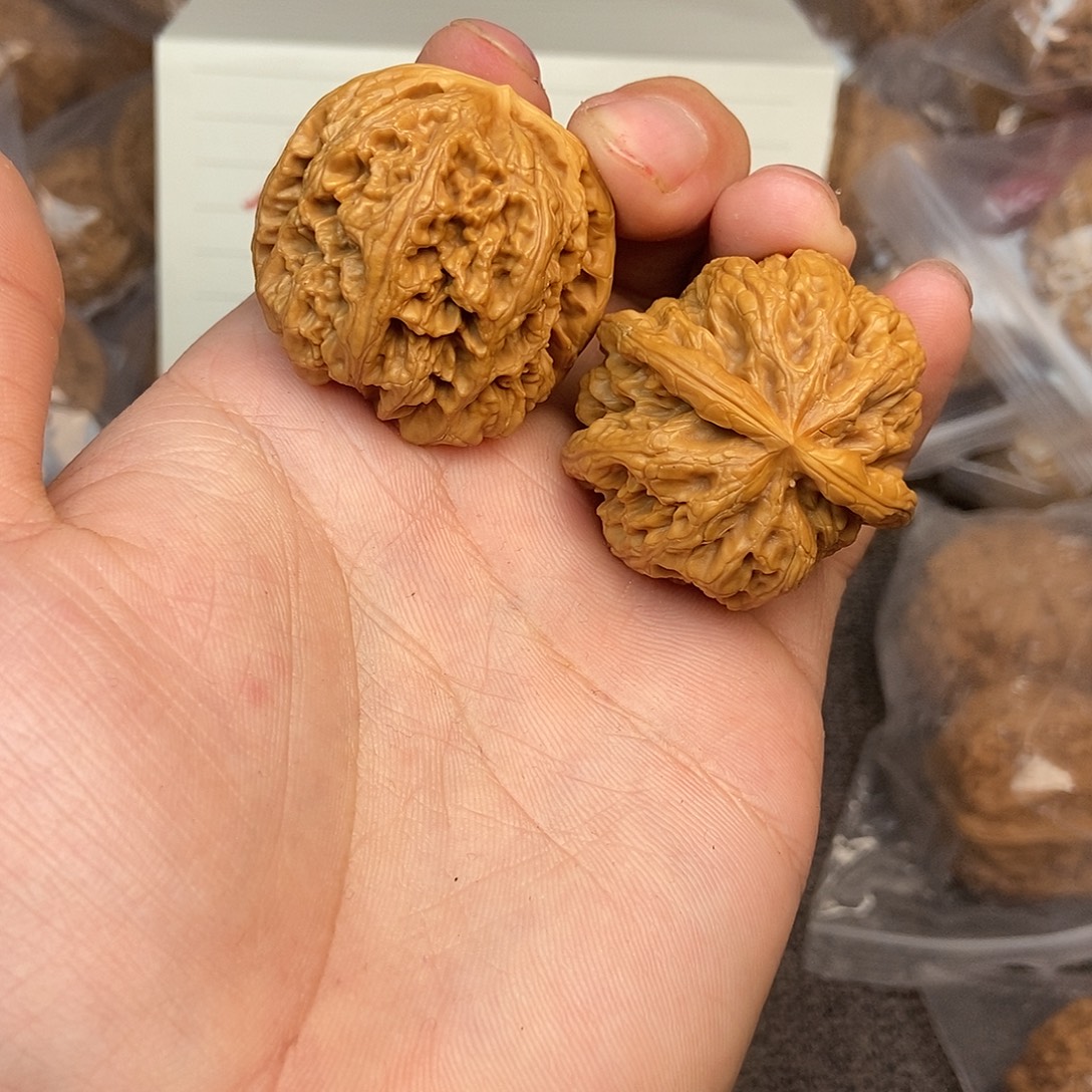 核桃粗筋37尺寸编号065球筋