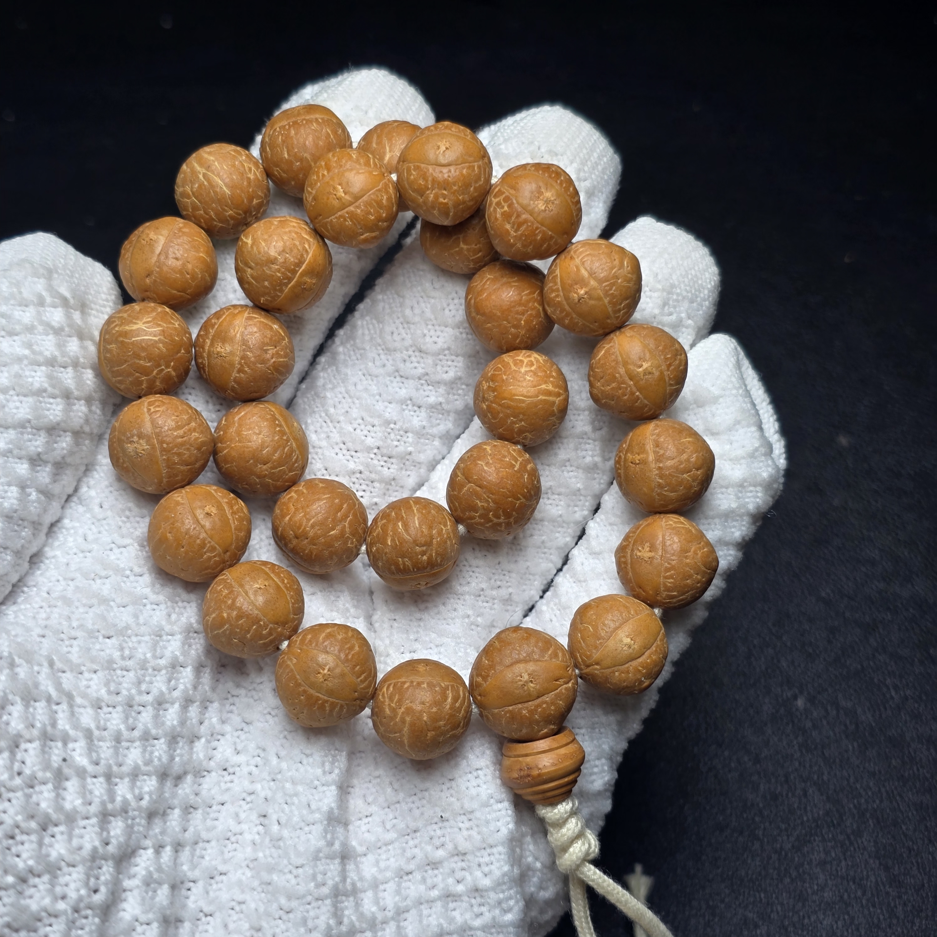 尼泊尔凤眼菩提-手持系列尺寸13-高油小飞机-货号sc7