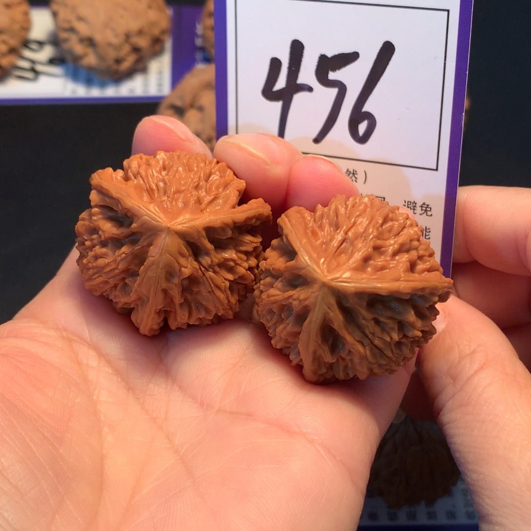 核桃456文山三棱3.6修