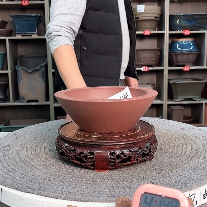 紫砂花盆小**哥紫砂的花也太美太