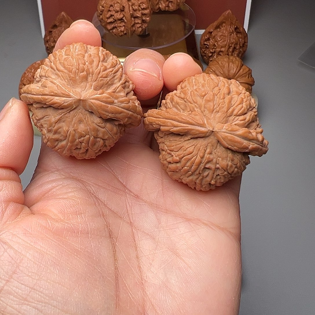 桃核把件42全品白狮子