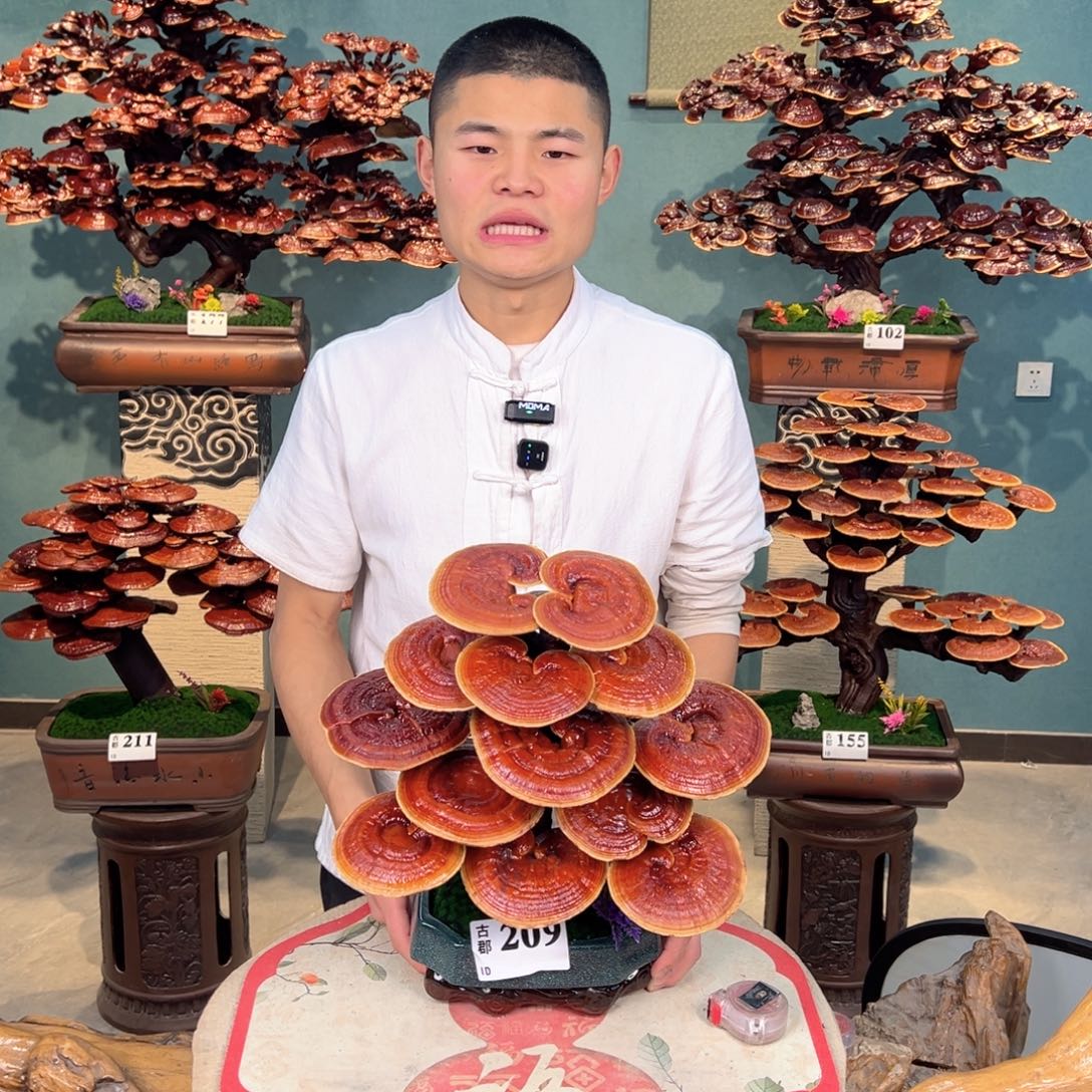 谢***下无花朵8888888888