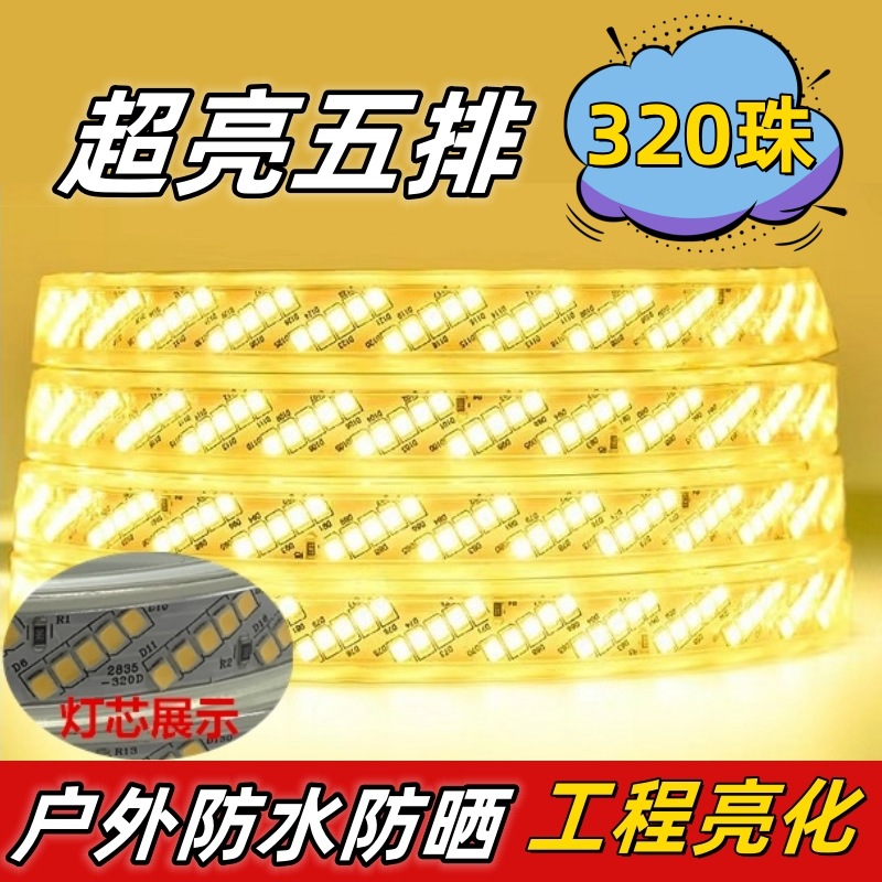 巨亮220v五排灯珠led灯带户外防水亮化工程家用客厅吊顶灯带条