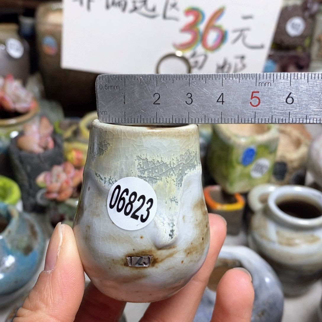 花盆拍5送一个小礼物