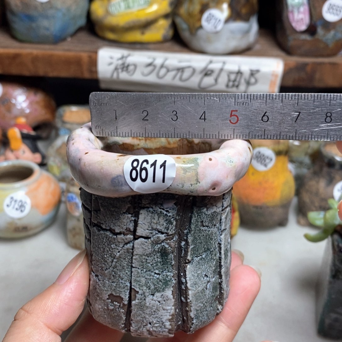 拍3送一个小礼物