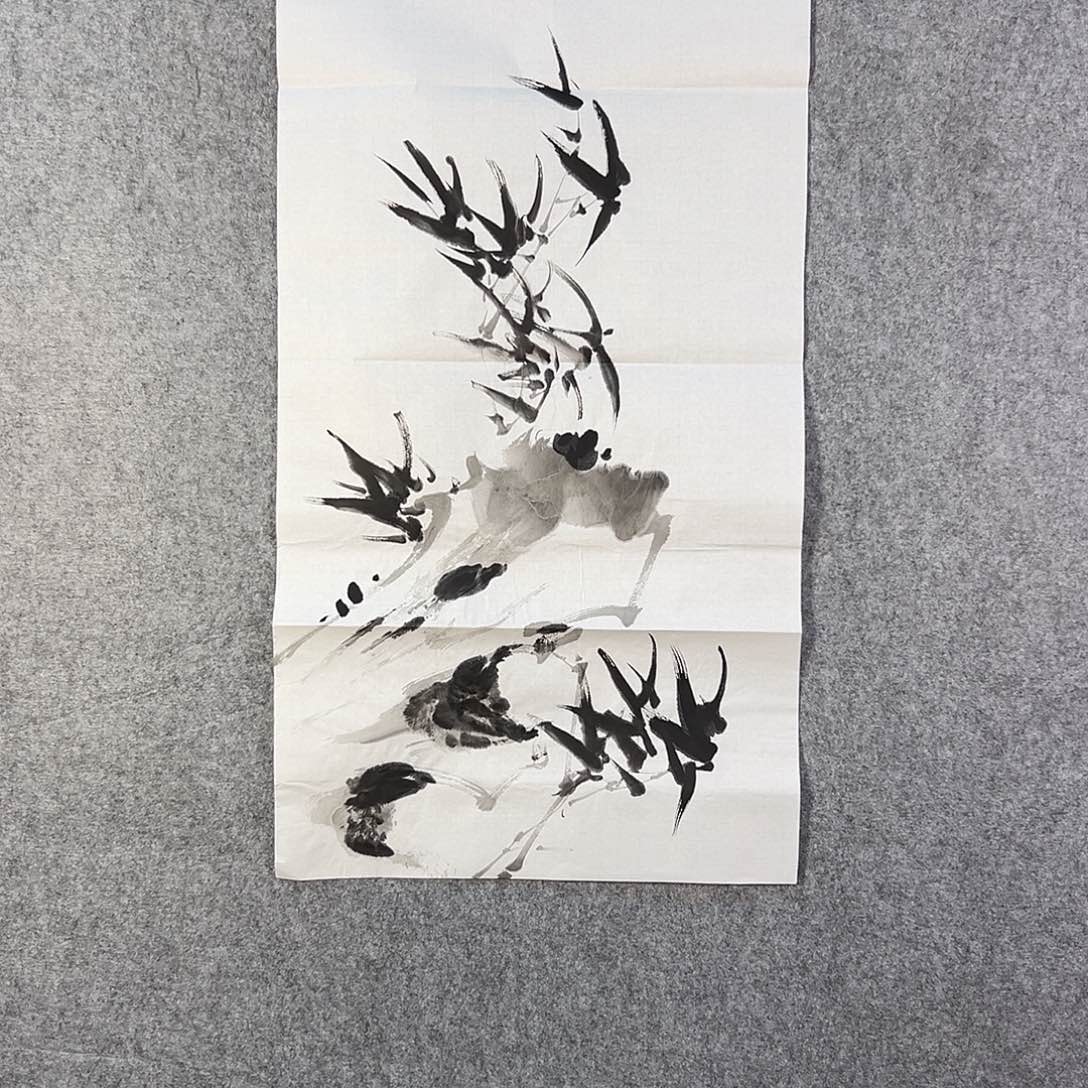 国画205 牡丹等植物资源优势显著