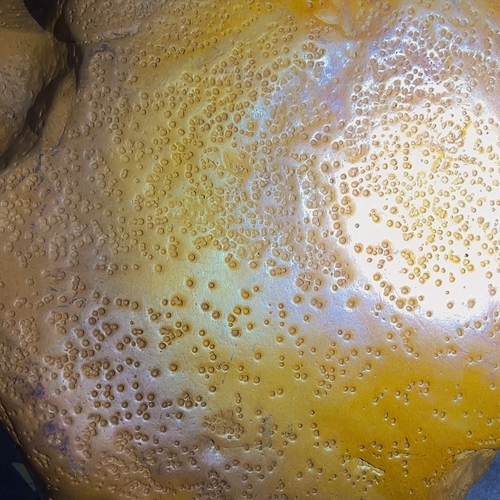 兴***普老挝石黄蜡石籽料