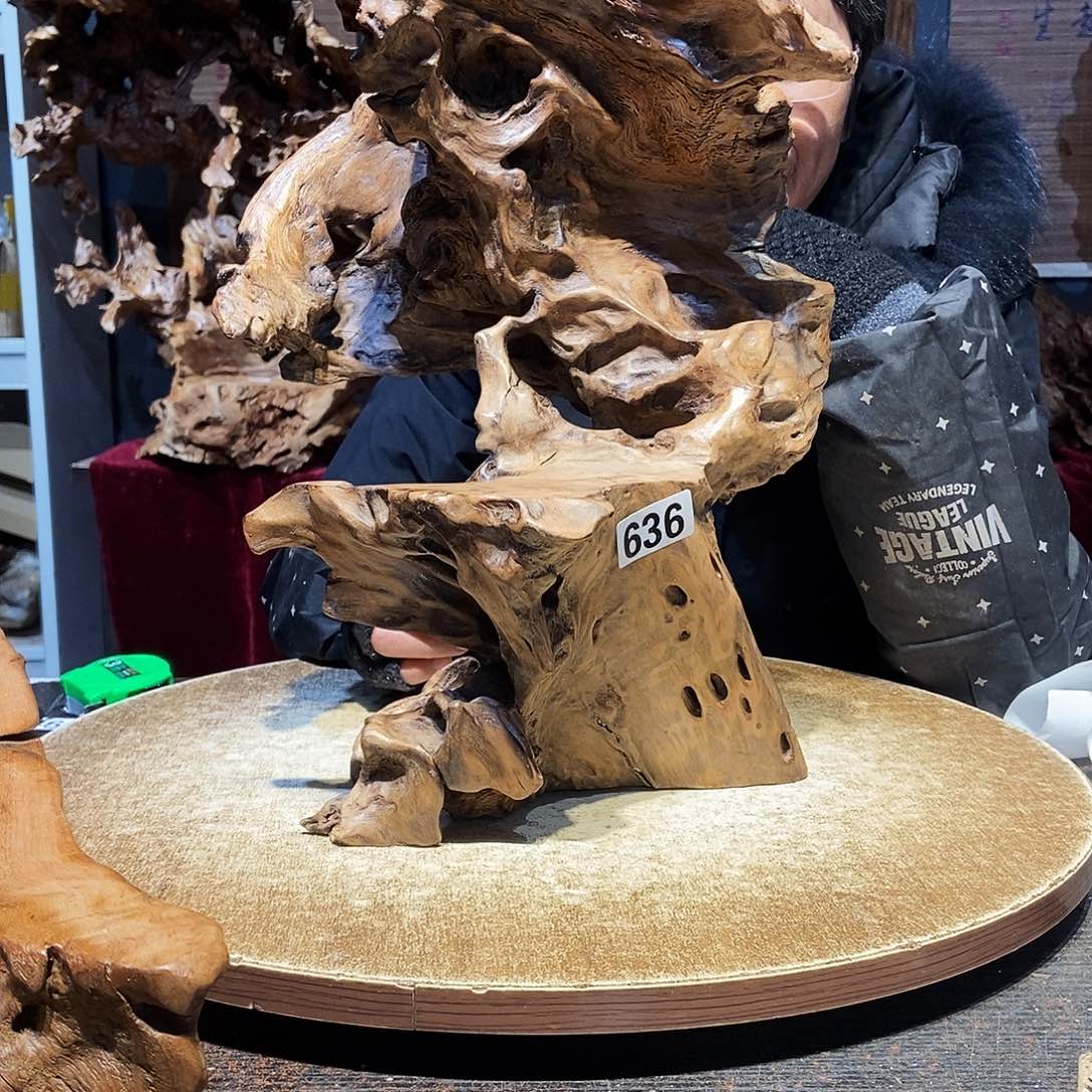 成***636。株木随行根艺