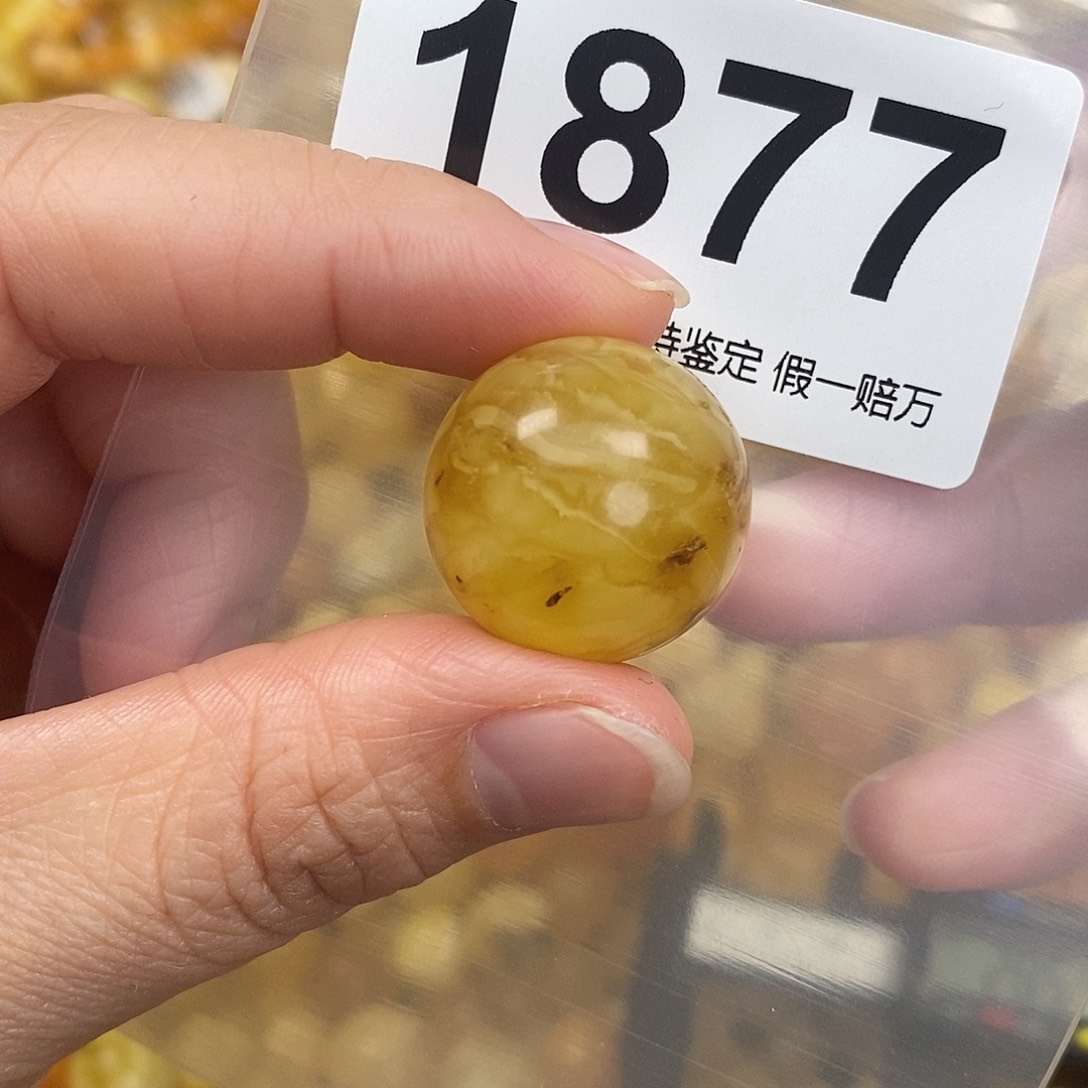 蜜蜡未镶嵌珠宝奇石21.7