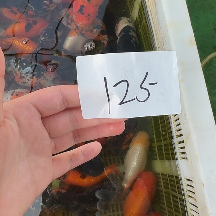 125包邮到家嘿嘿嘿嘿嘿嘿嘿嘿