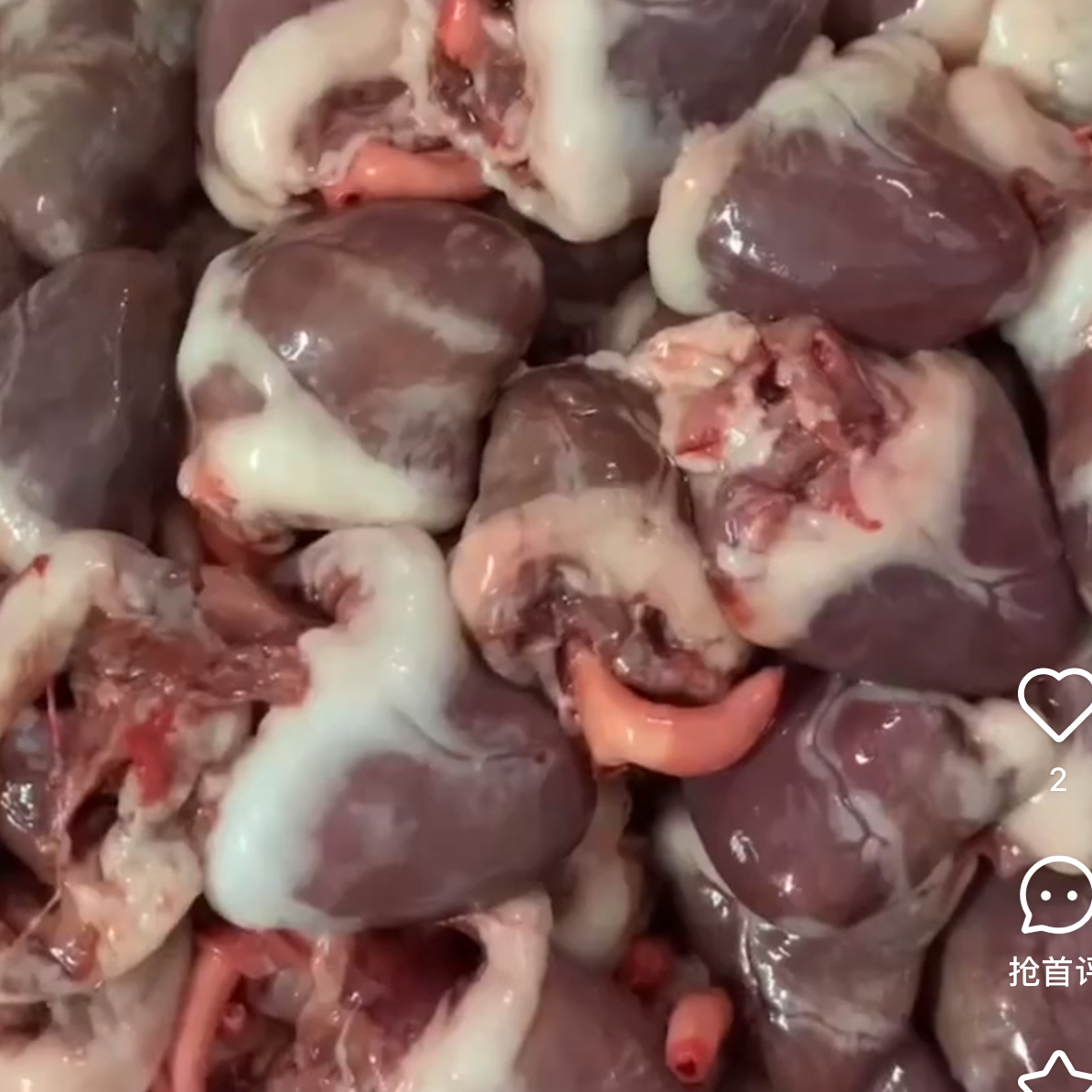 东北散养大鹅的鹅心