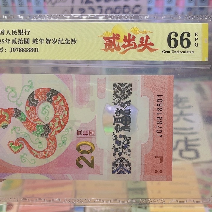 塑料蛇钞二出头发发号078818801照图发货