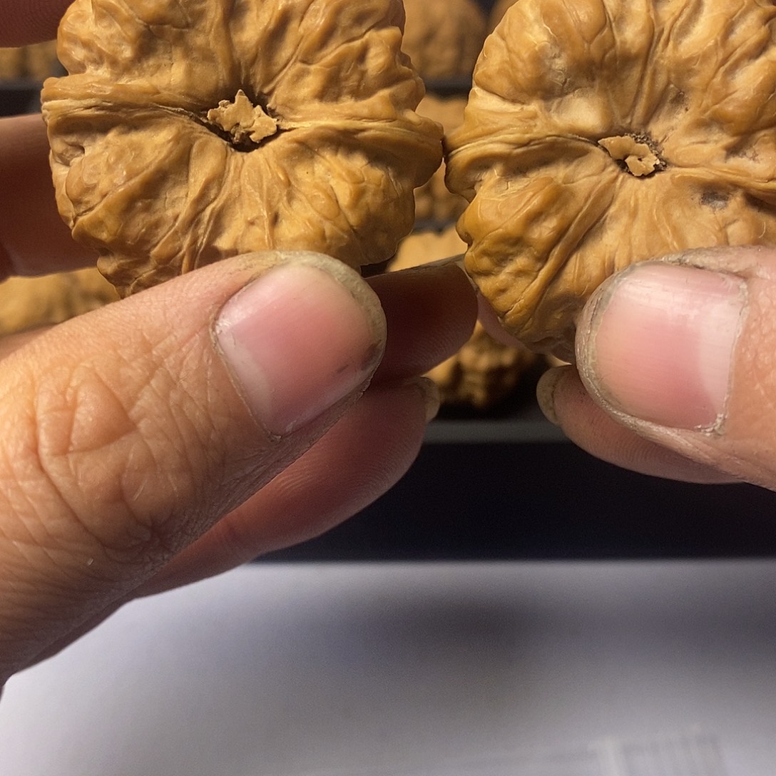 *****42尺寸5555555555