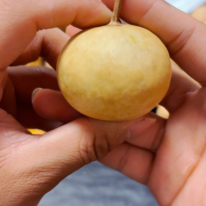 柏*缘89888888888899888888