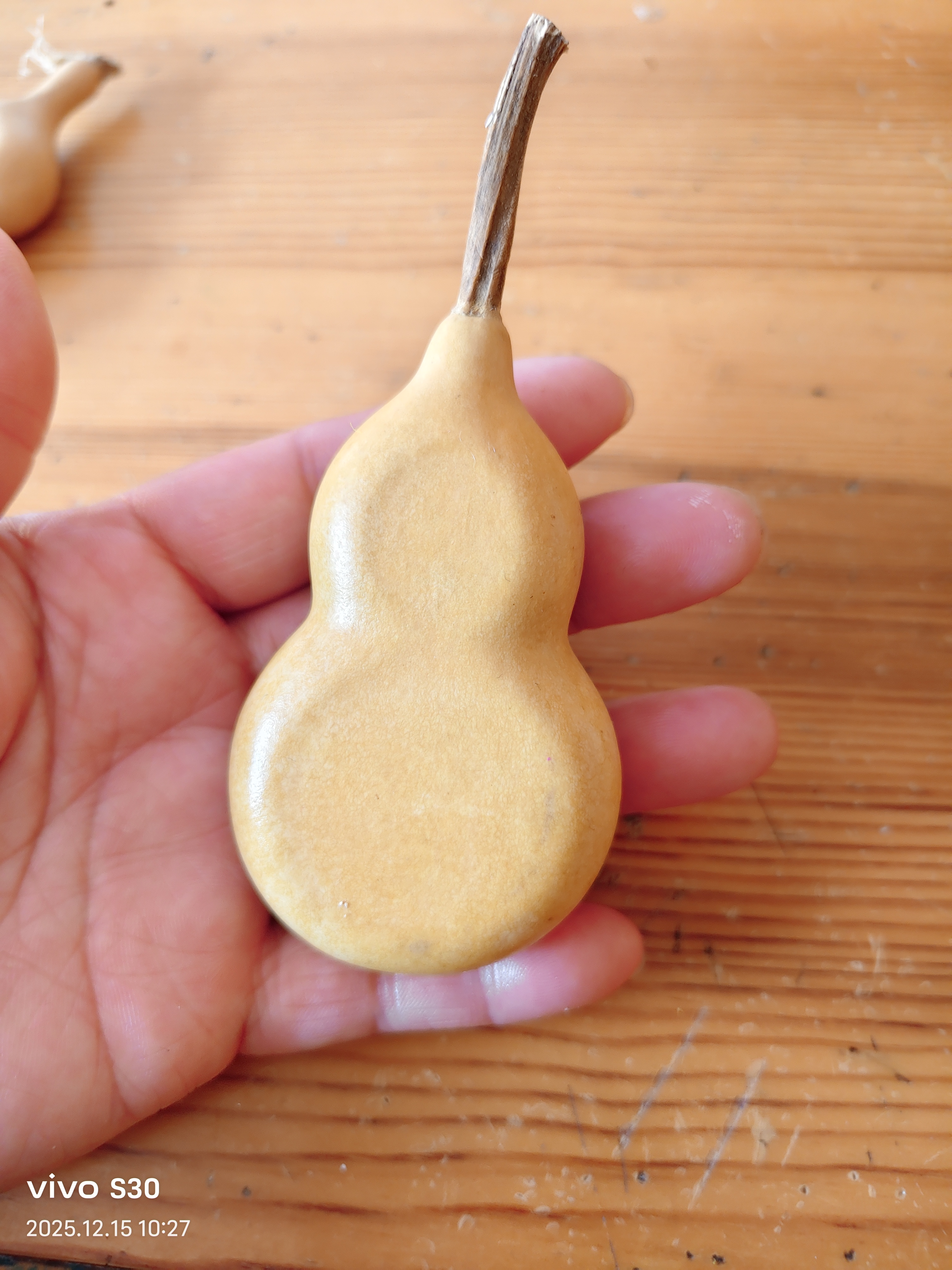 装饰品天然小葫芦福禄到家一物一图