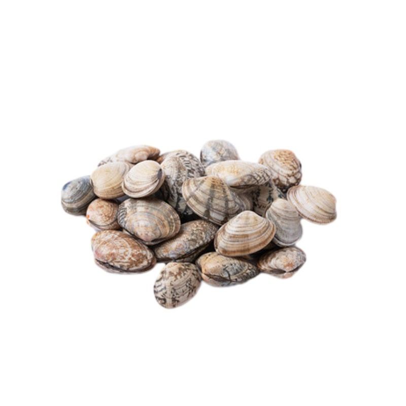 1斤新鲜鲜活 （无沙）花蛤