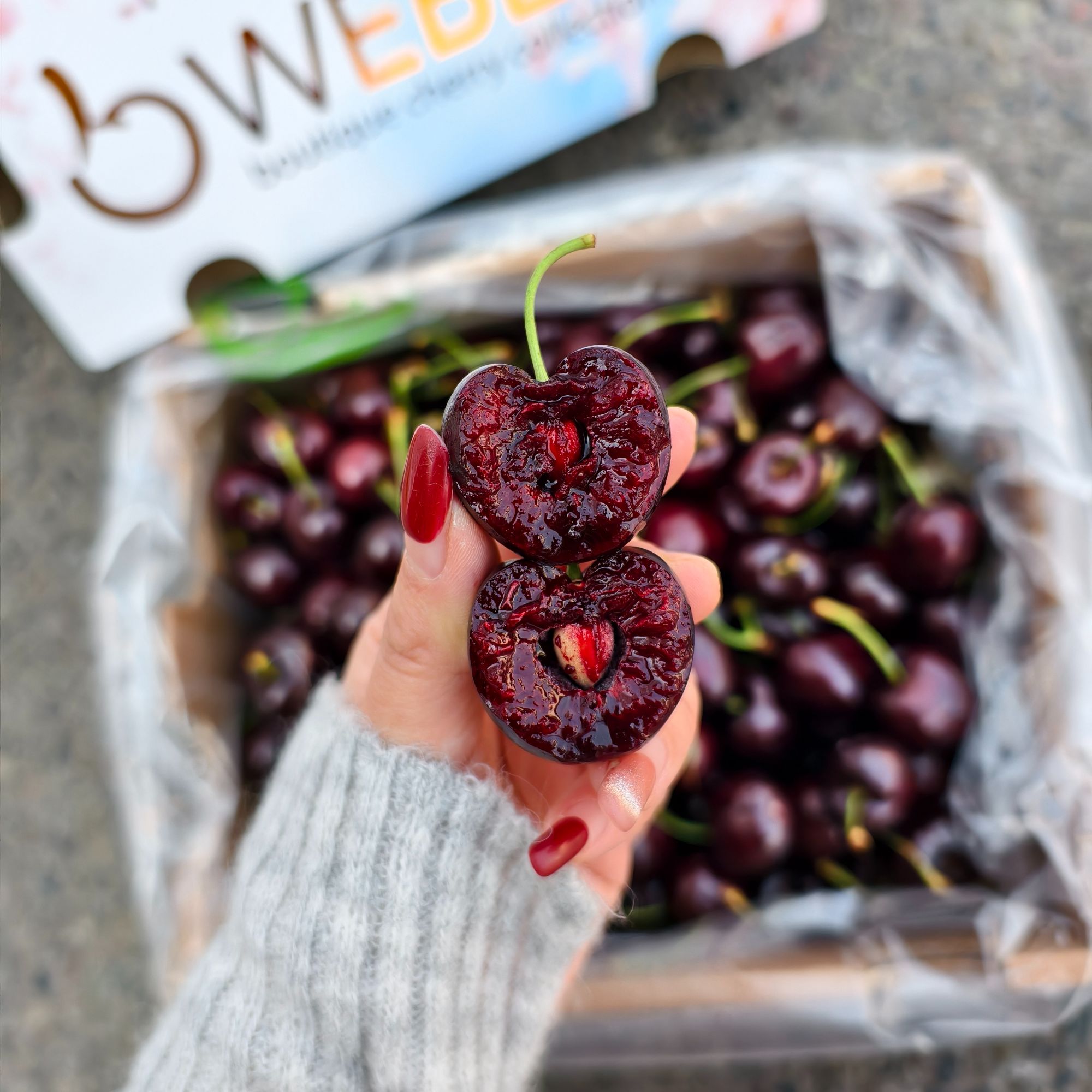 【韩美丽专属】轻奢金标樱花4J空运车厘子 爽甜多汁 内附果径卡