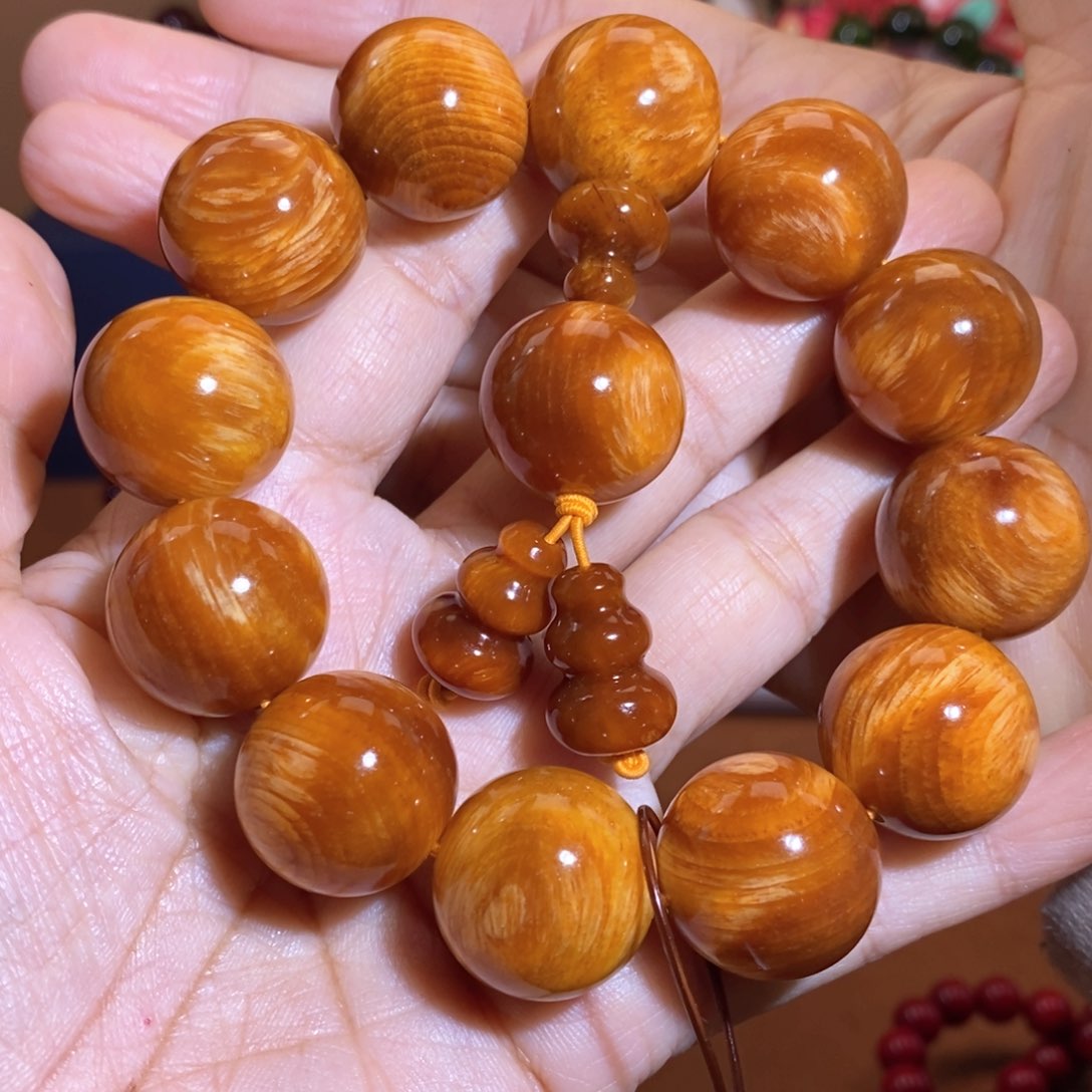 贝壳杉2.0糖心玉化高货