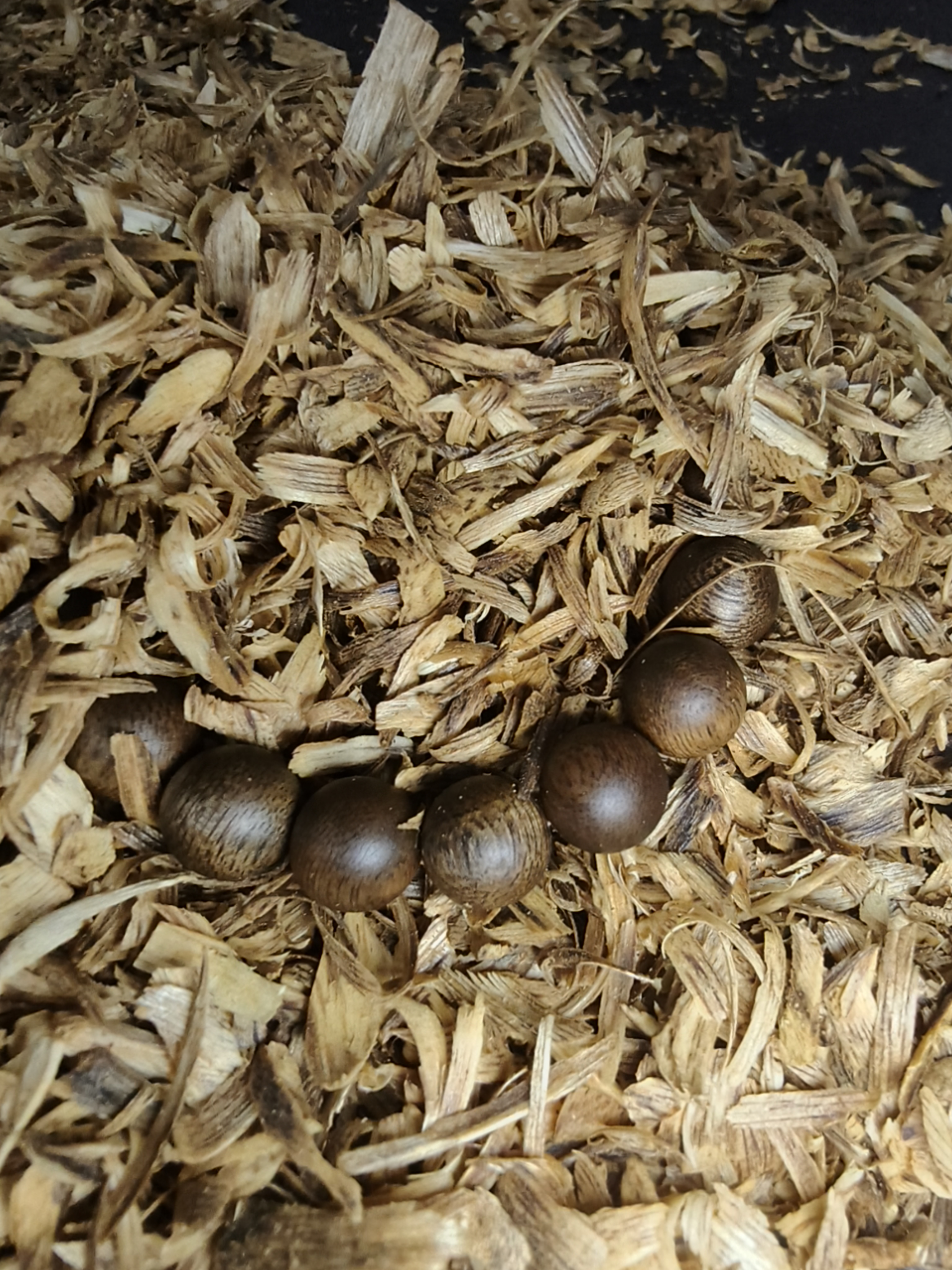 沉香YDIo3海南老白棋+沉香碎屑