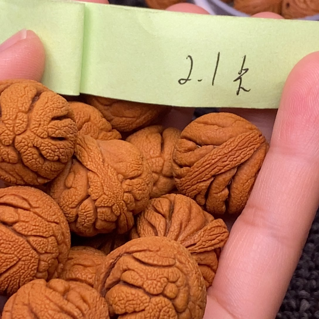 秦岭山脉龙纹桃核 13