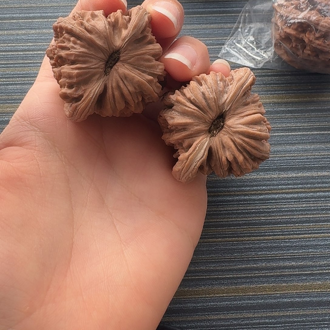 核桃老树红皮四座楼42全