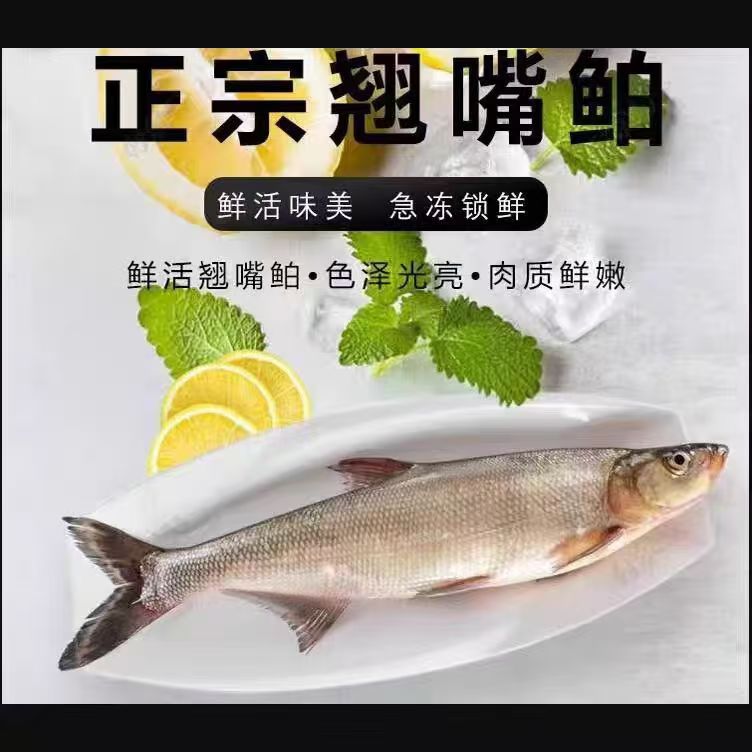 【小贰家】湖北丹江口三去翘嘴鲌 活鱼腌制 去鳞去鳃去内脏 